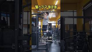 헬스 기구 등운동 4가지 동작 [upl. by Atinid]