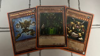 My ManEater Bug Yugioh Deck Profile for November 2024 [upl. by Majka]