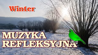 Muzyka refleksyjna  Winter A Vivaldi  Gregorianus [upl. by Ernald]