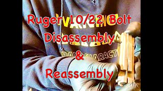 Ruger 1022 Bolt disassembly and reassembly [upl. by Wolcott46]