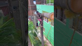 8610339350 tree cutter Suyambu  Chennai tree cutter [upl. by Haneen527]