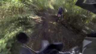 MT MEE GLASSHOUSE MOUNTAINS ADVENTURE RIDE [upl. by Volney]