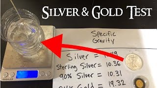 How to Test Silver and Gold at Home  Specific Gravity Test [upl. by Akerehs]