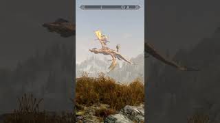 SKYRIM at its best skyrim elderscrolls [upl. by Howlend]