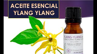 ACEITE ESENCIAL YLANG YLANG BENEFICIOS E INCONVENIENTES [upl. by Octavius]