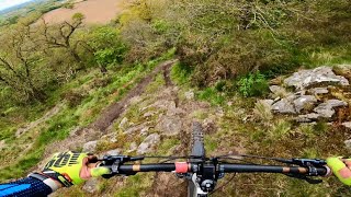 Haughmond Hill  Hardtail MTB  Haughmonduro amp Pinball Alley trails  GoPro  260424 [upl. by Auqinu]