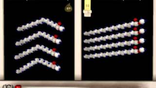 Lipid Structure Function Animation [upl. by Yanat]