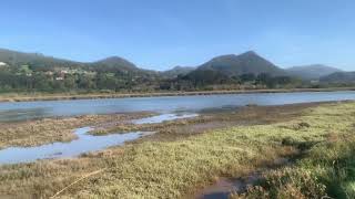 Urdaibai  el tren pasa por Murueta [upl. by Stefania95]