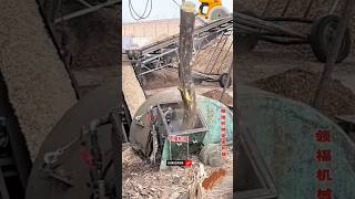 Wood cutter shortvideo shorts labour swork [upl. by Adnara348]