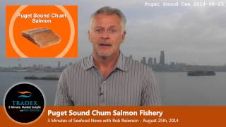 3Minute Market Insight  Pacific Hake Plugging Up West Coast Upcoming Puget Sound Chum Salmon Run [upl. by Alyakim]