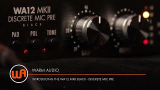 Warm Audio  Introducing The WA12 MKII Black  Discrete Mic Pre [upl. by Quar]