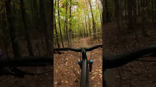 Whipper Snapper mtb allatoonacreek [upl. by Benetta]