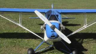 Sig 14 Scale ClippedWing Cub [upl. by Ysus]