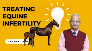 Uncovering the Mystery Behind Equine Infertility Veterinary Gynecology in Action [upl. by Ennaej]