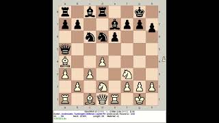 Stockfish 17 vs Critter 16a  Anderssen Tuebingen Defense chess [upl. by Flodnar]