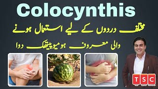 Pain killer Colocynthis  Symptoms  How to use  Homeopathic Medicine  Urdu  Hindi [upl. by Vivienne]