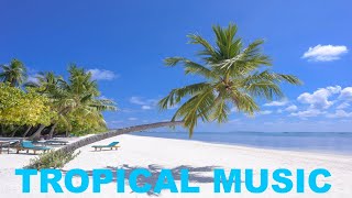 Tropical Music with 2 Hours of Tropical Music Instrumental with beautiful Tropical Video [upl. by Neibaf]