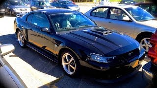 2004 Ford Mustang Mach 1 Intech 46L V8 Start Up Quick Tour amp Rev With Exhaust View  55K [upl. by Fitalludba]