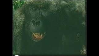 Mighty Joe Young  Могъщият Джо Янг 1998 trailer Bg sub [upl. by Eeral]