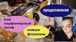 Парфюмерный шкаф Penhaligons Estee Lauder Jil Sander Prada The Merchant of Venice и тд [upl. by Ahsain]