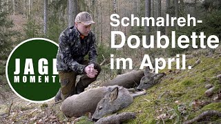 SchmalrehDoublette im April  JagdMomente  2022 [upl. by Wiese386]