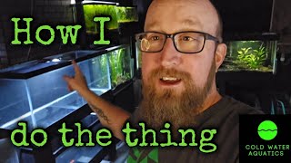 Setting up a dirtedplanted aquarium quickly [upl. by Mellen]