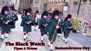 Remembrance Sunday in the company of The Black Watch [upl. by Beitnes764]