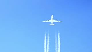 Crossing Atlas Air B747 inflight [upl. by Erle431]