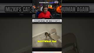 Mizkifs cat sitting like a human Mizkif miz mizkifclips twitch twitchclips shorts [upl. by Siubhan]