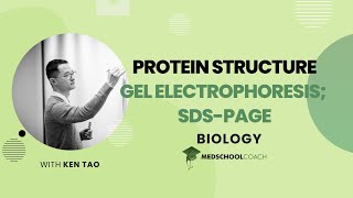 Gel Electrophoresis and SDSPAGE [upl. by Yort]