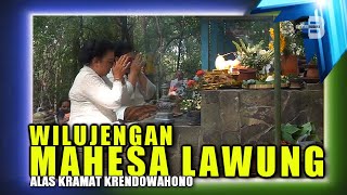 WILUJENGAN MAHESA LAWUNG 2024  ALAS KRAMAT KERATON SURAKARTA [upl. by Lory]