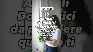 10 animali domestici per aiutarti a superare una relazione finita [upl. by Carbone635]