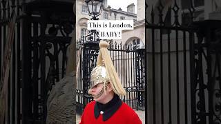 THE KINGS HORSE GUARDS 💂‍♂️ l Horse Guards Royal Guard Horse London [upl. by Corbie]