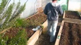 Polytunnel walk [upl. by Goldin]