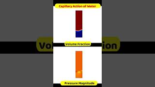 Capillary Action of Water Simulation  Comsol Multiphysics Software  CFD [upl. by Winikka632]