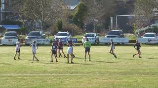 Mini Colts Round 15 Vs Blackwood [upl. by Nalrah233]