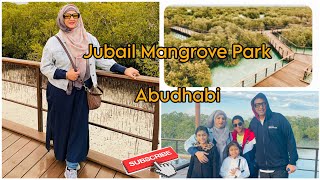 Jubail Mangrove Park Abudhabi  Jubail Island  Walking through the mangroves 🏝️ [upl. by Applegate235]