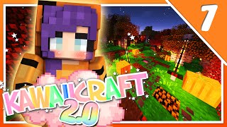 KawaiiCraft 20  Ep7  LETS GO CAMPING [upl. by Weinhardt938]