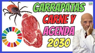 🆘 ALERGIA ALIMENTARIA A LA CARNE POR PICADURA DE GARRAPATAS Y AGENDA 2030 🆘 [upl. by Bac]