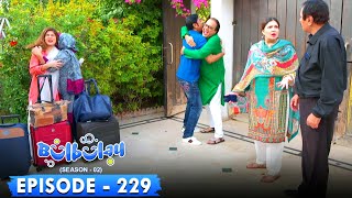 Bulbulay Season 2 Episode 229  Ayesha Omar amp Nabeel [upl. by Nairde]