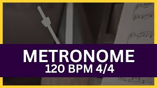 Metronome 120 BPM 44 [upl. by Eceerehs]