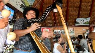 Predestinacion musica Llanera Colombiana Colombian Folk Cowboy Music [upl. by Notanhoj]