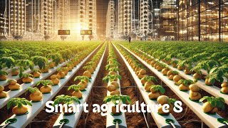 Smart agriculture 8 SoilFree Potato Farming in India Embracing Agricultural Science amp Technology [upl. by Terag]