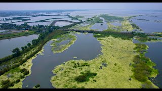 Kolleru Lake Aerial View in 4K Kolleru Eluru Andhra Pradesh [upl. by Neeven]