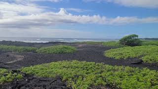 Punaluu Black Sand Beach  Hawaii  South parking [upl. by Zehcnas]