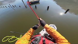 Backwater Beasts  Lure Fishing Berowra Waters [upl. by Abdu314]