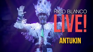 Rico Blanco  Antukin  Live [upl. by Lamok519]