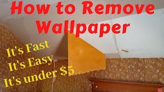 Removing Wallpaper With Water and Vinegar [upl. by Hannahs78]