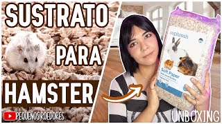 SUSTRATO de PAPEL para HAMSTER [upl. by Delp369]