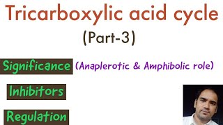 Tricarboxylic acid cycle  Part 3  Significance Inhibitors Regulation Anaplerotic reactions [upl. by Arehahs247]